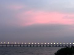 -宝安西湾红树林湿地公园