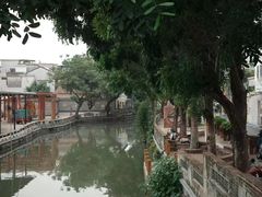 -红星光发煲仔饭(大石街店)