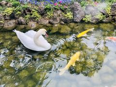 -罗红摄影艺术馆