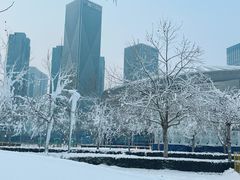 -东港音乐喷泉广场