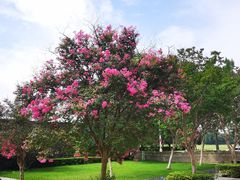 -国际非物质文化遗产博览园