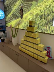 -头道汤头疗养生馆