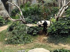 -香港海洋公园