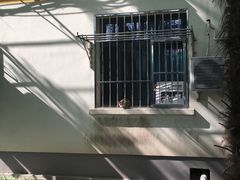 -同济大学-北苑食堂