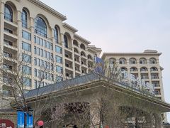 -龙熙维景国际会议中心