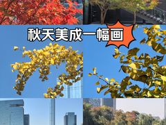 -苏州现代传媒广场商业