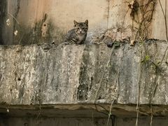 -华南师范大学(广州大学城校区)