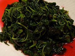 -西郊5号·Maggie 5