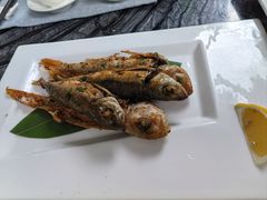 -金海湾嘉华度假酒店·海天阁中餐厅