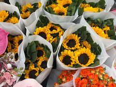 -循礼门鲜花花市(武汉循礼门店)