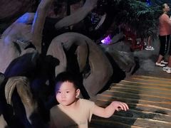 -蓬莱欧乐堡海洋极地世界