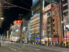 -秋叶原电器街