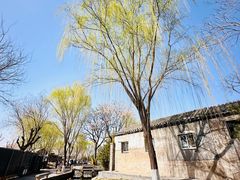 -三里河公园