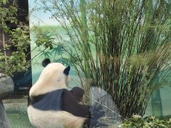 -无锡动物园·太湖欢乐园