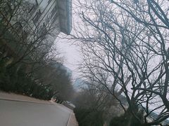 -山东师范大学(千佛山校区)