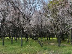 -蜀冈西峰生态公园