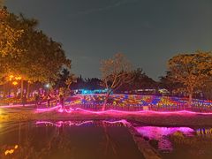-海上田园