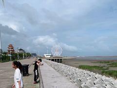 -奉贤海滩