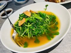 -绿波廊(豫园店)