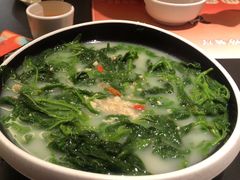 -羽鸽集·乳鸽专门店·地道顺德菜(岭南站店)