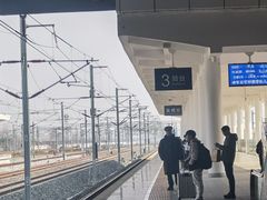-盐城丹顶鹤湿地生态旅游区