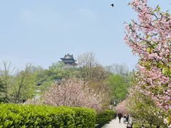 -黄鹤楼公园(黄鹤楼)