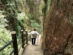 -天台山琼台仙谷景区
