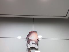 -pd派德宠物中心医院24H急重症·眼科中心·血液透析中心(嵩山北路店)