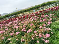 -盈香心动乐园