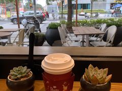 -Peet's Coffee皮爷咖啡(大学路店)