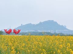 -光明小镇欢乐田园