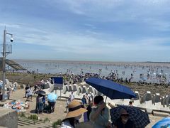 -南汇嘴观海公园