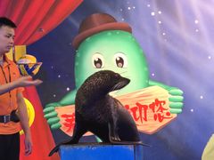 -芜湖新华联大白鲸海洋公园