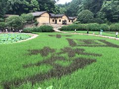 -韶山毛泽东同志故居