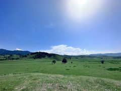 -新疆那拉提国家旅游度假区