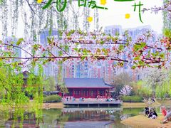 -堤角公园