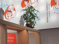 -长风拨筋养身(金虹桥店)