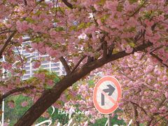 -西安创业咖啡街区