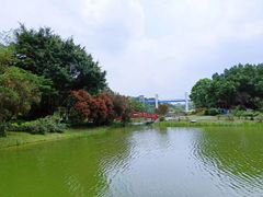 -东莞植物园