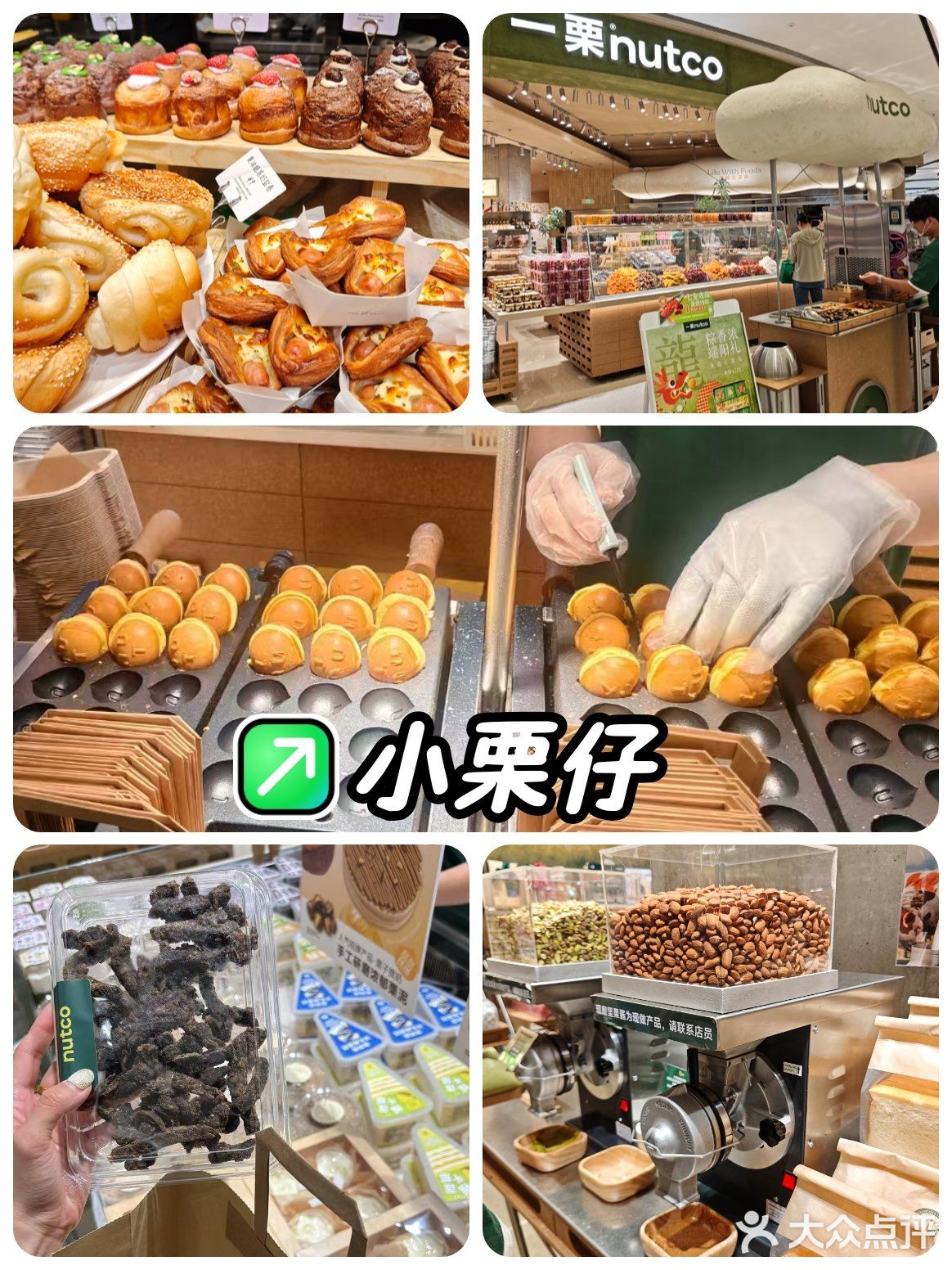 一栗nutco为什么火🔥?今天来看看…