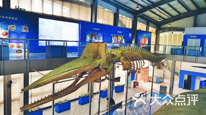 上海海洋大学鱼文化博物馆(军工路校区)图片 - 第1张