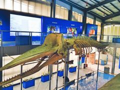 -上海海洋大学鱼文化博物馆(军工路校区)