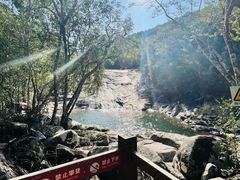 -海南霸王岭国家森林公园