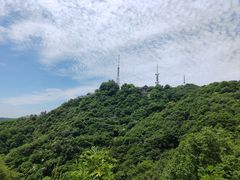 -灵顺寺