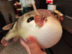 -永安鱼庄·镇江菜(东吴路店)