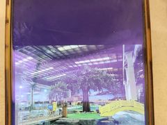 -南宫温泉水世界