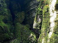 -梭布垭石林景区