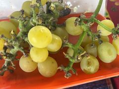 -马陆小张葡萄园农家乐