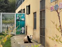 -西安秦岭野生动物园