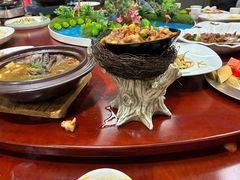 -丁老爷子苏香圆